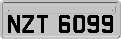 NZT6099
