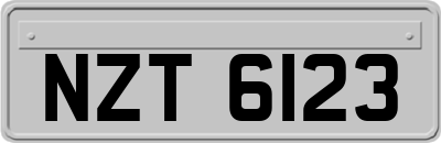 NZT6123