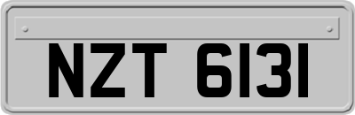 NZT6131