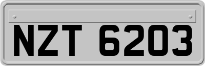 NZT6203