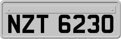 NZT6230