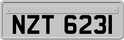 NZT6231