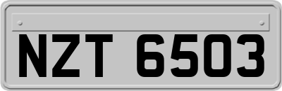 NZT6503