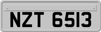 NZT6513