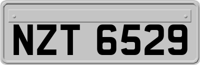 NZT6529