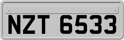 NZT6533
