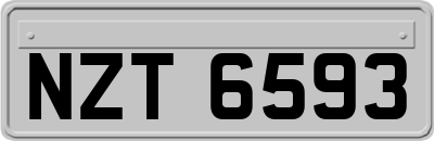 NZT6593