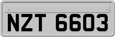 NZT6603