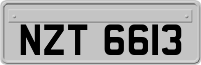 NZT6613