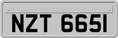 NZT6651