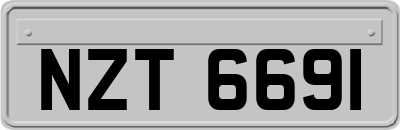 NZT6691