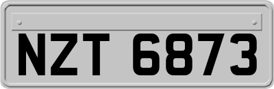 NZT6873