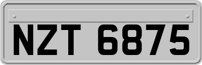 NZT6875
