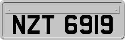 NZT6919