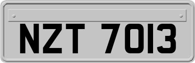 NZT7013
