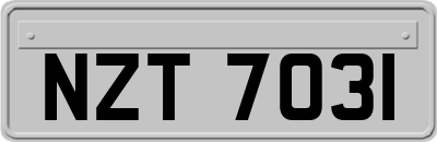 NZT7031