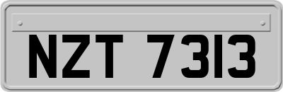 NZT7313