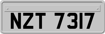 NZT7317