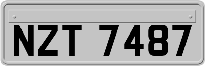 NZT7487
