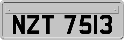 NZT7513