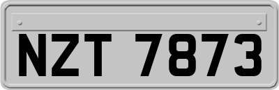 NZT7873