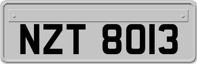 NZT8013