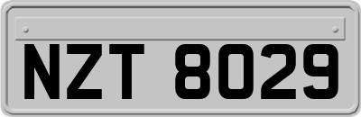 NZT8029