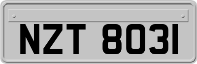 NZT8031