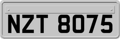 NZT8075