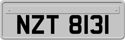 NZT8131