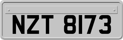 NZT8173
