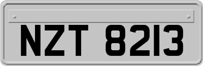 NZT8213
