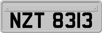 NZT8313