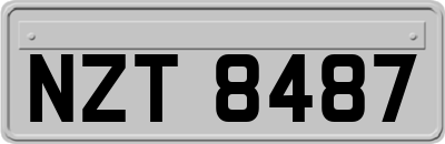 NZT8487