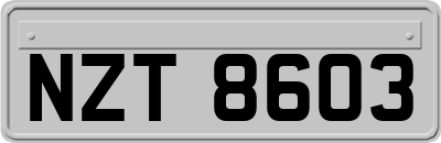NZT8603
