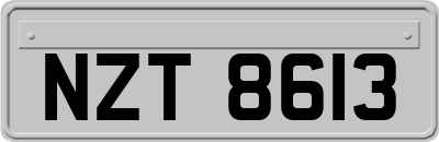 NZT8613
