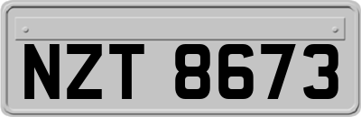 NZT8673