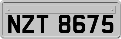 NZT8675