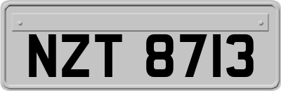 NZT8713