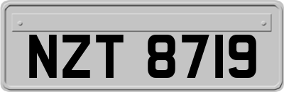 NZT8719