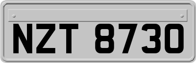 NZT8730