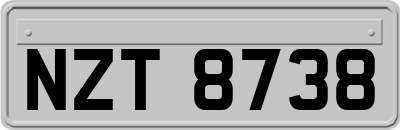 NZT8738