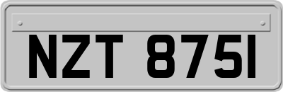 NZT8751