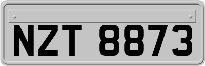 NZT8873