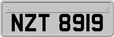 NZT8919