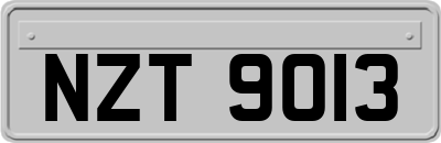 NZT9013