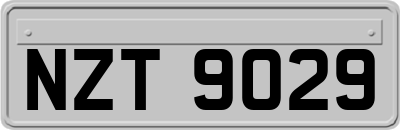NZT9029