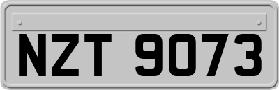 NZT9073