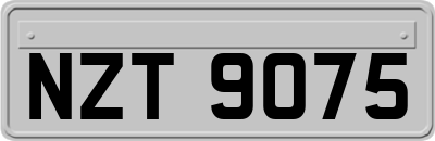 NZT9075