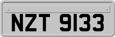 NZT9133